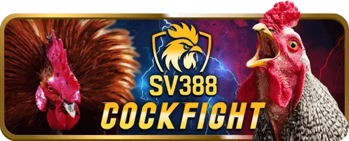 Các loại Cookie win365 game sử dụng